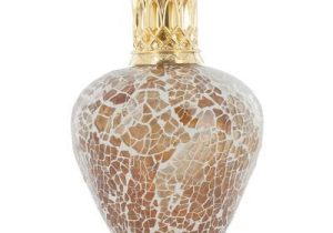 Oil Fragrance Lamp 'In A Nutshell' - Small