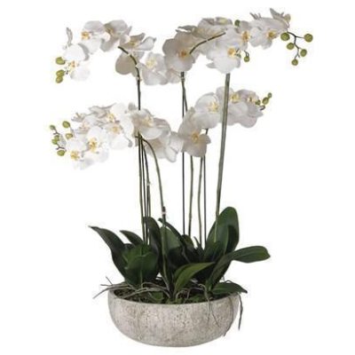 Orchid Flower Display - Large White Orchid Display - Stone Effect Bowl