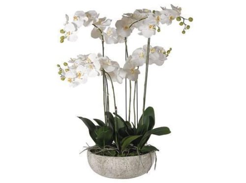 Orchid Flower Display - Large White Orchid Display - Stone Effect Bowl