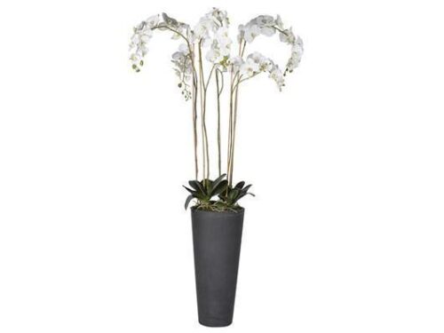 Orchid Flower Display - Tall White Orchid Display - Dark Grey Tall Planter