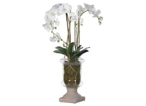 Orchid Flower Display - White Orchid - Stone Effect Base