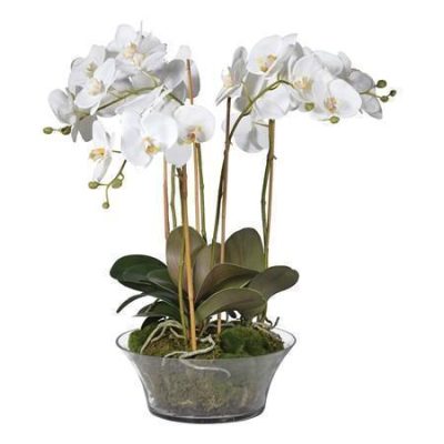 Orchid Flower Display - White Orchids & Moss - Shallow Glass Round Bowl