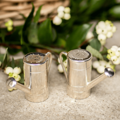 Cruet Set - Silver Watering Can Design Salt & Pepper Set
