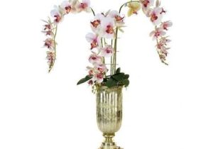 Orchid Display - Orchid Phalaenopsis Arrangement - Gold Glass Urn