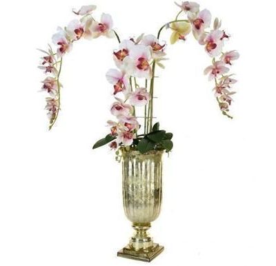 Orchid Display - Orchid Phalaenopsis Arrangement - Gold Glass Urn
