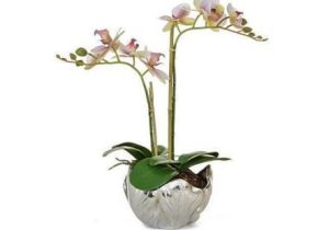 Orchid Flower Arrangement - Pink Orchid Arrangement - Silver Leaf Bowl