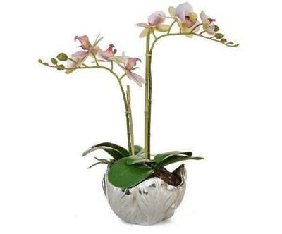 Orchid Flower Arrangement - Pink Orchid Arrangement - Silver Leaf Bowl