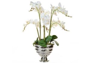 Orchid Flower Display - Large White Orchid Display - Chrome Vase