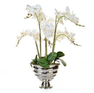Orchid Flower Display - Large White Orchid Display - Chrome Vase