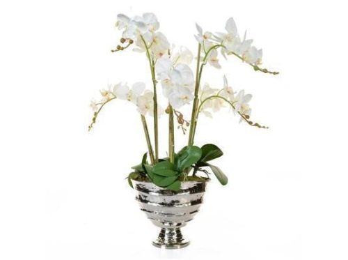 Orchid Flower Display - Large White Orchid Display - Chrome Vase