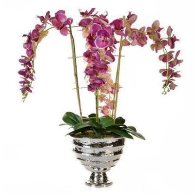 Orchid Flower Arrangement - Tall Pink Orchid Display - Chrome Pot