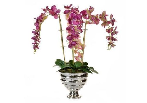 Orchid Flower Arrangement - Tall Pink Orchid Display - Chrome Pot