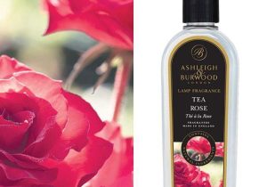 Tea Rose - Premium Lamp Fragrance Burning Oil - 500ml