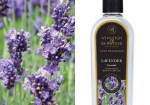 Lavender - Premium Lamp Fragrance Burning Oil - 500ml