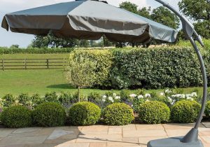Garden Banana Parasol - Grey - Canopy 300cm