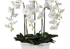 Orchid Flower Display - White Orchid Arrangement - Marble Effect Oblong Pot