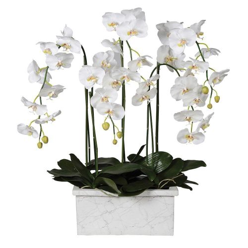 Orchid Flower Display - White Orchid Arrangement - Marble Effect Oblong Pot