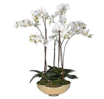 Orchid Flower Display - White Orchid Display - Metallic Gold Glass Pot
