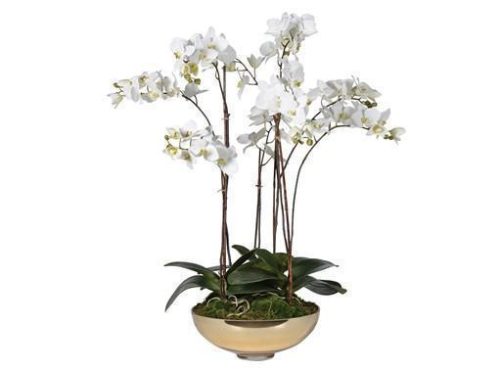 Orchid Flower Display - White Orchid Display - Metallic Gold Glass Pot