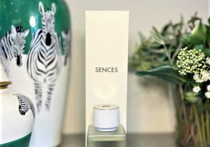 Reed Diffuser - 500ml - Frosted Glass