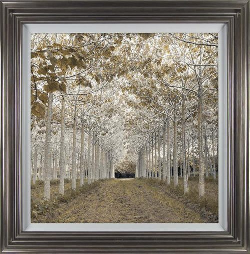 'White Gold' Artwork - Silver Frame -Varnished - White Slip & Glass - Assaf Frank