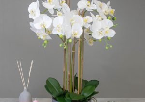 Orchid Flower Display - White Orchids & Moss - Stone Effect Planter - 70cm