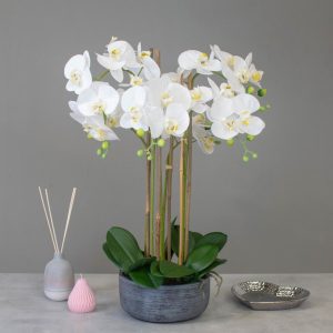 Orchid Flower Display - White Orchids & Moss - Stone Effect Planter - 70cm