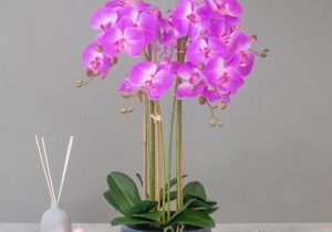 Orchid Flower Display - Pink Orchids & Moss - Stone Effect Planter - 70cm