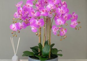 Orchid Flower Display - Pink Orchids & Moss - Stone Effect Planter - 68cm