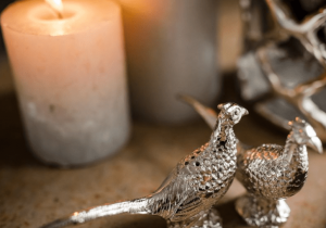 Cruet Set - Pheasant Shaped Salt & Pepper Set