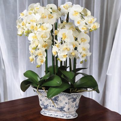 White Orchid Flower Arrangement
