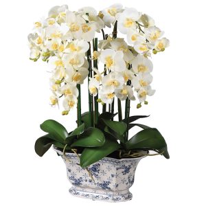 White Orchid Flower Arrangement