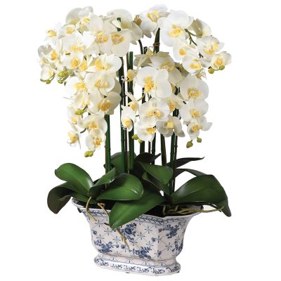 White Orchid Flower Arrangement – Blue & White Pot