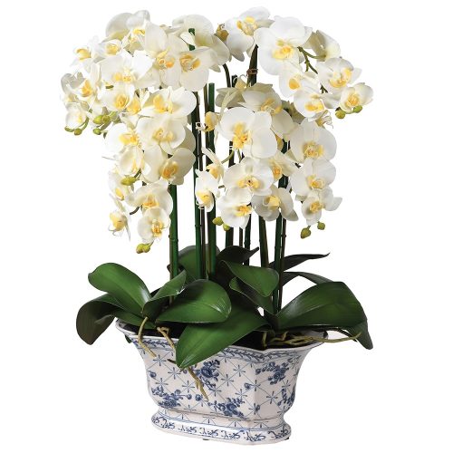 White Orchid Flower Arrangement – Blue & White Pot